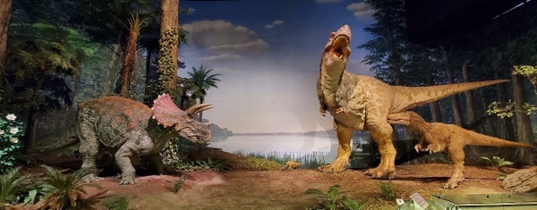 【八千代台発】ミュージアムパーク茨城県自然博物館と空中いちご狩り<コースNo.25-1128-C>(京成トラベル)1